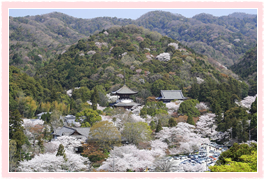 tokucho01