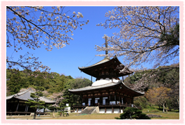 tokucho02