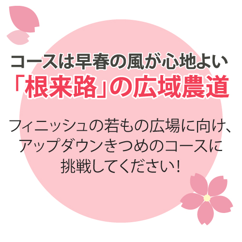 コースは早春の風が心地よい「根来路」の広域農道。フィニッシュの若もの広場に向け、アップダウンきつめのコースに挑戦してください！